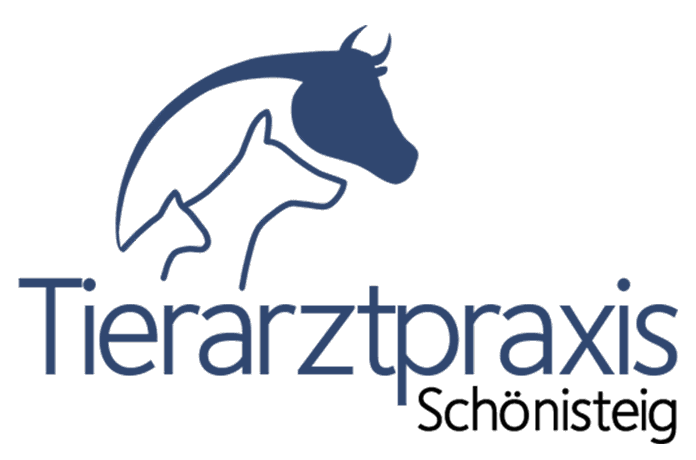Tierarzt – Kleintierpraxis Bassersdorf | Dietlikon | Nürensdorf | Brütten | Kloten | Wallisellen